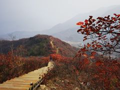 -水峪民俗村