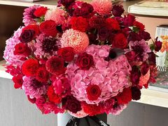 -植物学家的女儿(北马道巷店)