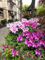 -Oasis Beauty水磨坊科技美肤中心