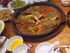 -老板恋上鱼(印象城店)