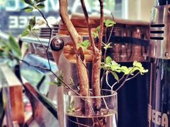 -琥珀咖啡 Ambercoffee