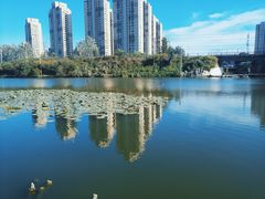 -前关湿地公园