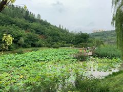 景点-白鹿原影视城