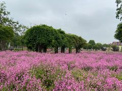 -歌斐颂巧克力小镇