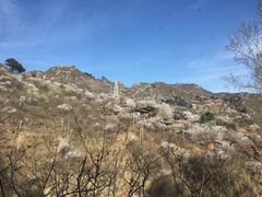 -北京水岸山吧度假村(雁栖镇店)