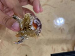 -双月饭店·20年老字号(新村店)