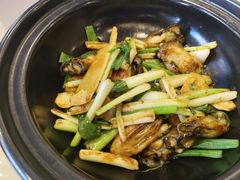 -东方御宴海鲜酒楼(棕泉酒店)