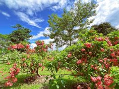 -中国科学院西双版纳热带植物园