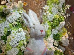 -LE SHARE洛笙·花园西餐(北京路步行街店)