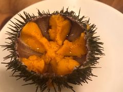 -海胆小馆(东北水饺·春柳店)