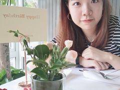 -蝶舍·MAISON PAPILLON