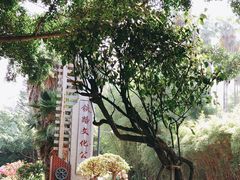 -铁路文化公园