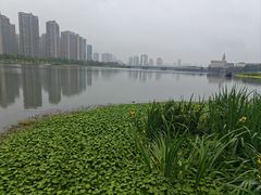 -大小河街