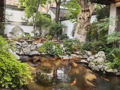 -鲤院·新中式美学·庭院餐厅(夫子庙店)
