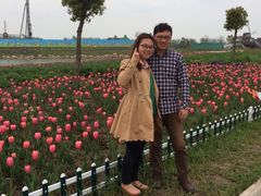 iphone_upload_pic-荷兰花海