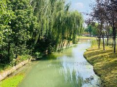 -上海佘山世茂艾美酒店