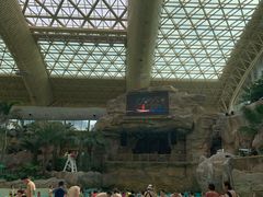 -杭州开元森泊度假乐园