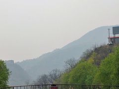 -天源渔港农庄
