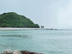 -杨梅坑