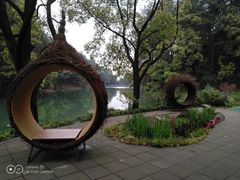 -缙云山景区