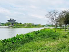 -海珠湖公园
