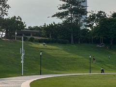-深圳湾公园(南山区)
