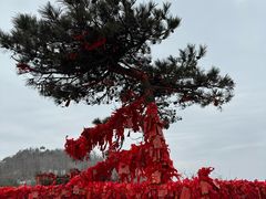 -泰山风景名胜区