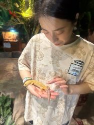 -酷嗒动物文化乐园(cutezoo西溪乐天城店)