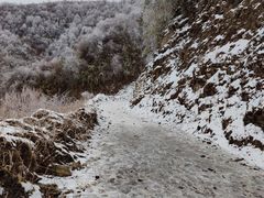 -卧龙自然保护区
