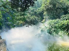 -北京西山国家森林公园