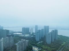 -悦厅·下午茶(杭州柏悦酒店)