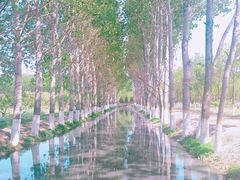 -东郊湿地公园