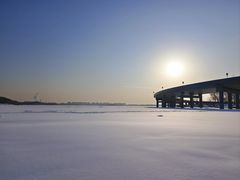 -丁香湖公园