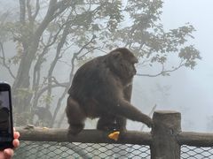 -峨眉山风景名胜区
