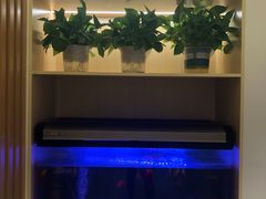 -智慧盲人按摩艾灸-颈肩腰膝疼痛调理(浦东店)