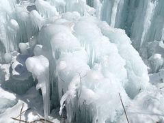 -青峰峡国家森林公园