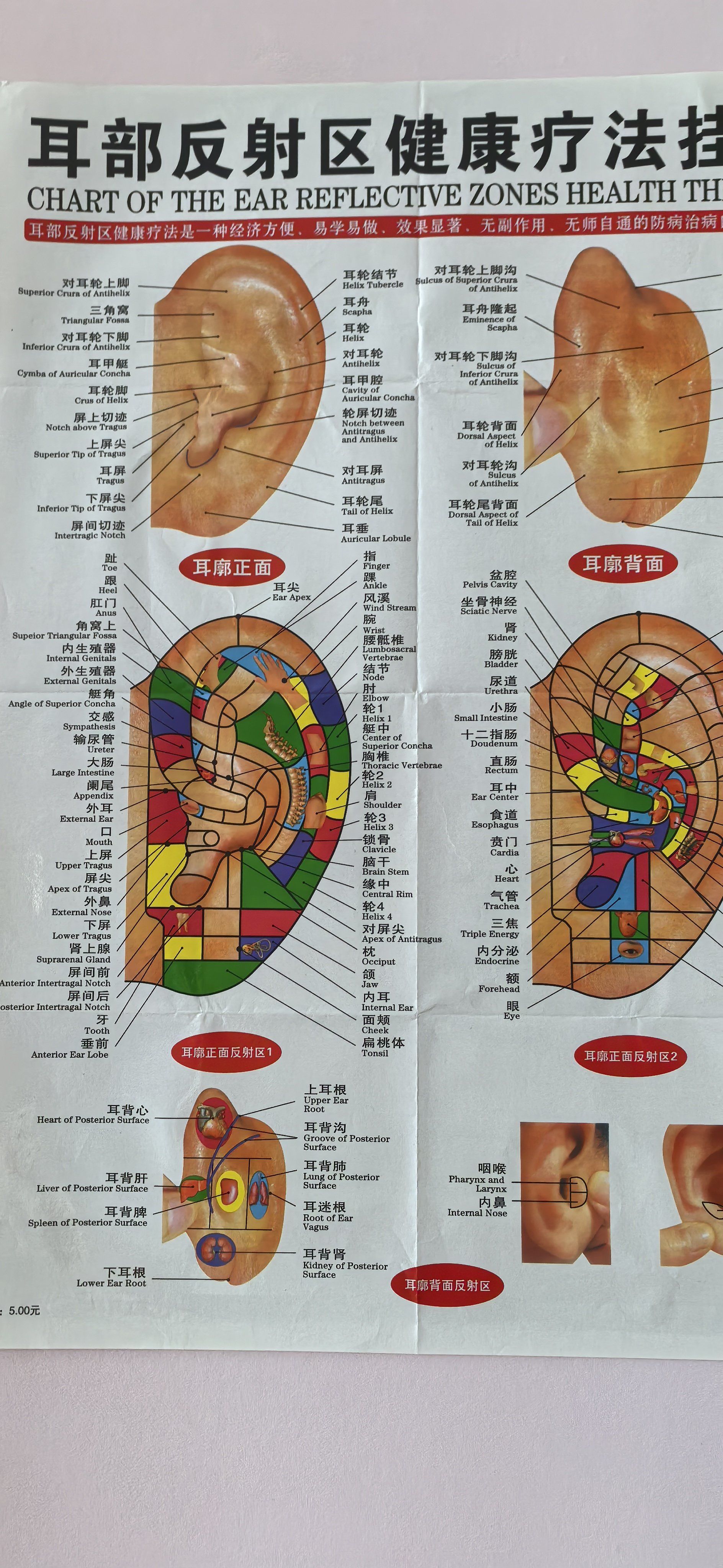 神奇的耳穴调理,我大中国的古老传承智慧
