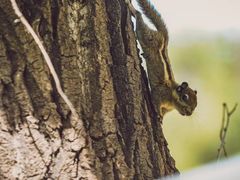 -安德鲁户外烧烤帐篷营地(马泉营店)