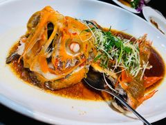 长寿鱼-沙田轩(古北店)