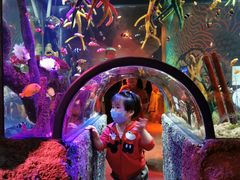 -沈阳海洋探索中心