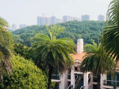-圣爵菲斯大酒店(长沙世界之窗店)
