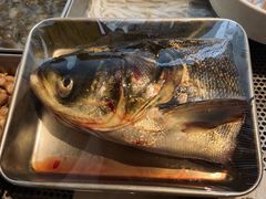 -华盛丰温州大排档(东三环南路店)