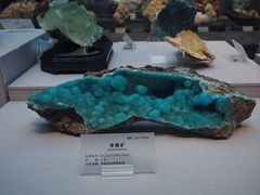 -湖南省地质博物馆