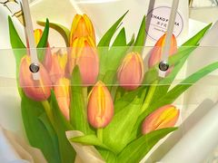 -ChaKo Flora ·茶子花艺 (市北店)