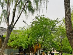 -春风习习