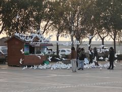 -天津妈祖文化园