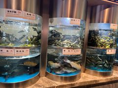 -老船舫·现做活鲜鱼馆(东郊记忆店)