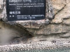 -海口观澜湖火山温泉谷