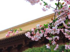 -明故宫遗址公园