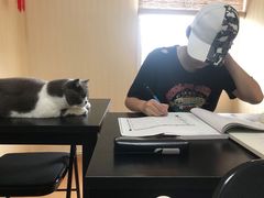 -猫音日语留学培训